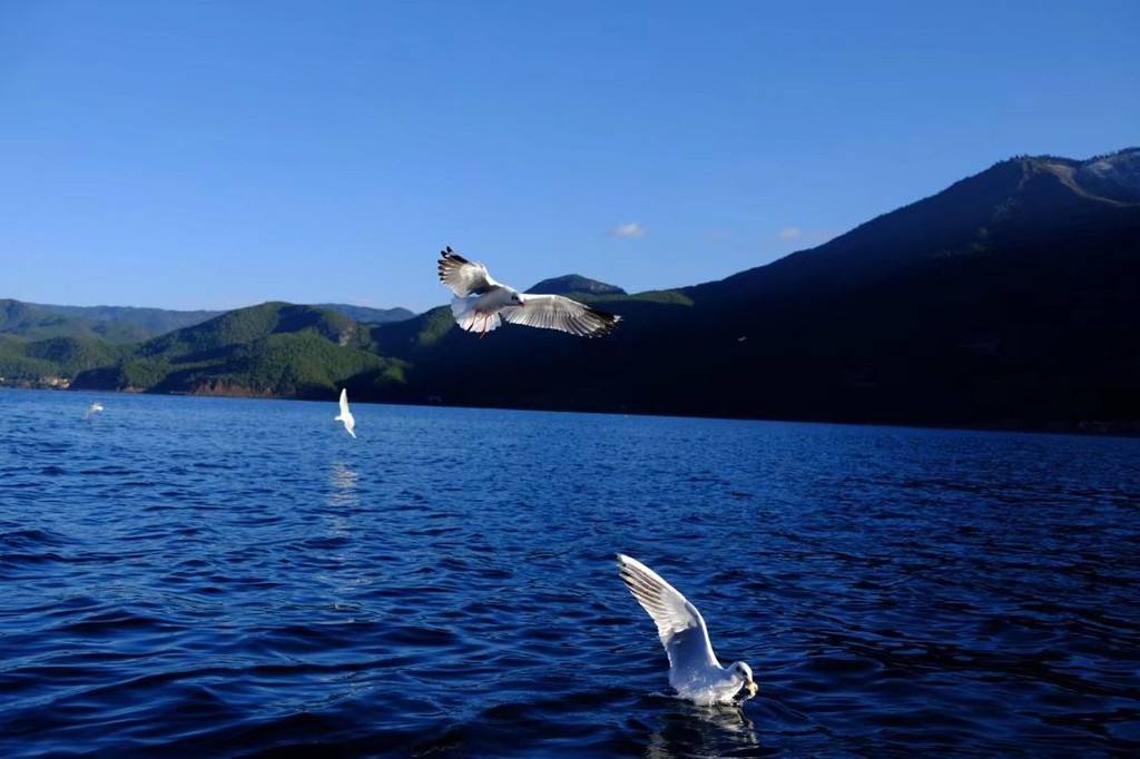 海南民宿,海南民宿网