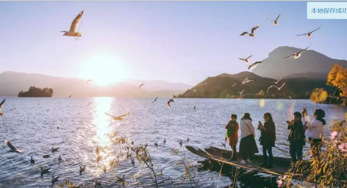 住民宿与泸沽湖海鸥作伴